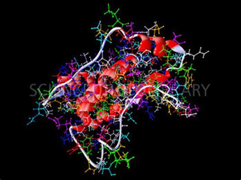 ׽6ԭIL-6ԭInterleukin 6ԭIL-6 antigenInterleukin-6 antigen